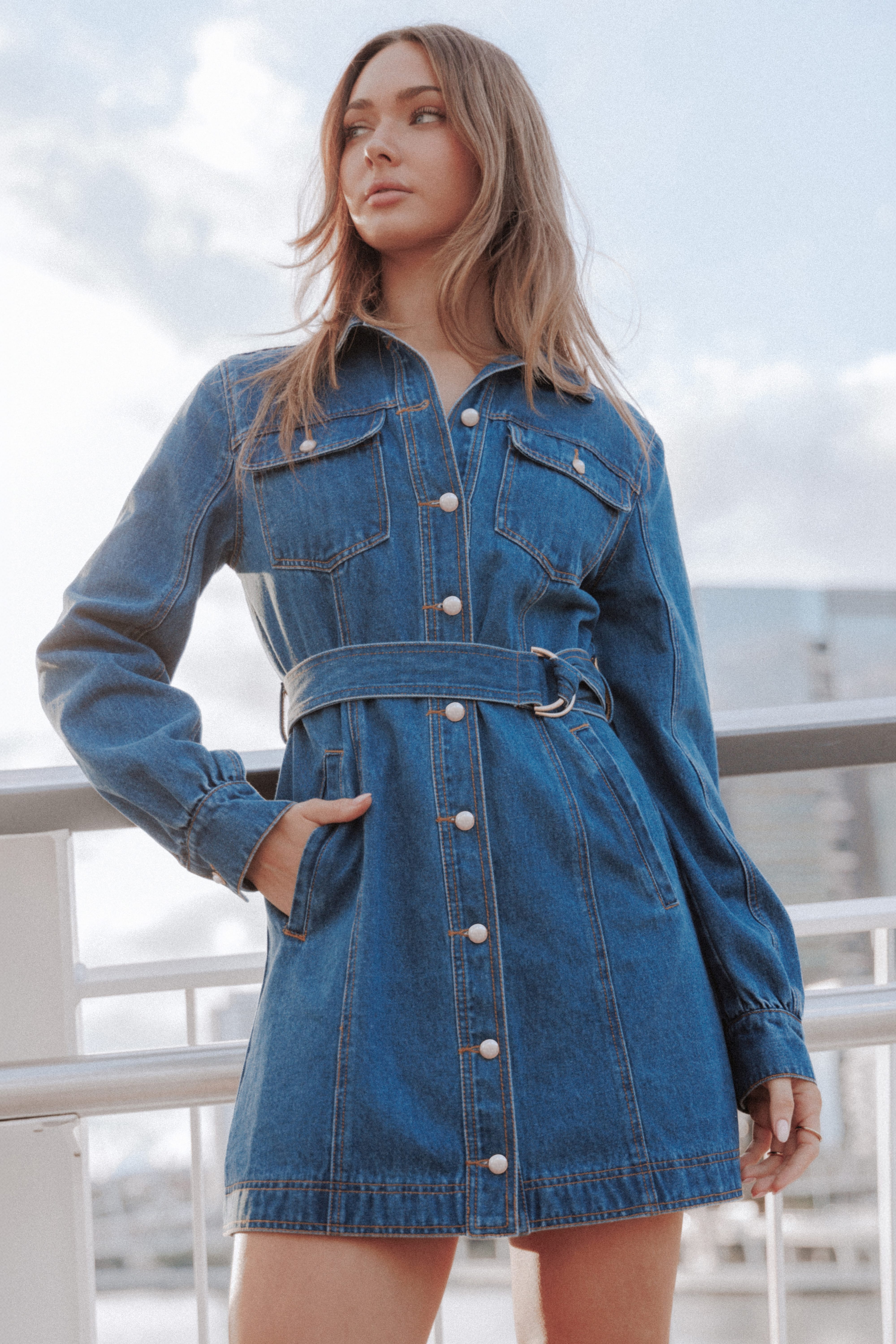 Robina İndigo Denim Uzun Kollu Mini Elbise
