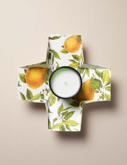 Belverosa Iris Candle